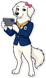 The lady Great Pyrenees property manager in a navy Companion blazer, filming a unit inspection on her phone